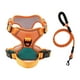 thumbnail image 1 of Arnés Para Perros Con Correa Ajustable Suave Con Clip Frontal Para Perros Mascotas Caminando Naranja L Verde, 1 of 3