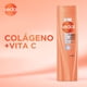 thumbnail image 3 of Shampoo Sedal Colageno y vit C, 340 ml, 3 of 5