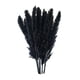 thumbnail image 1 of 15x Hierba De Pampas Seca Phragmites Reed Flower Bunch Home Wedding Decor Gift Negro, 1 of 5