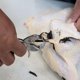 thumbnail image 5 of Extractor de Plumas de Enganche Yardbird 304 Acero Inoxidable, 5 of 6