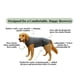 thumbnail image 4 of Traje de recuperación para perros iLVYA, talla grande, gris, con almohadillas lavables, 4 of 9
