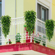 thumbnail image 3 of "4pcs Planta Colgante Belug Artificiales Hojas Redonda De Eucalipto Verde ", 3 of 5