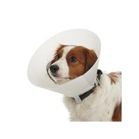 Genérico - Collar Isabelino Para Mascotas Buster Classic 15 Cm