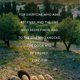 thumbnail image 3 of Estudio Bíblico LifeWay Press Lucas en la Tierra con Video, 3 of 8