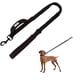 thumbnail image 1 of Correa Elástica Para Perros. Negro, 1 of 3