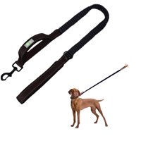 Defensor Forever - Correa Elástica Para Perros. Negro