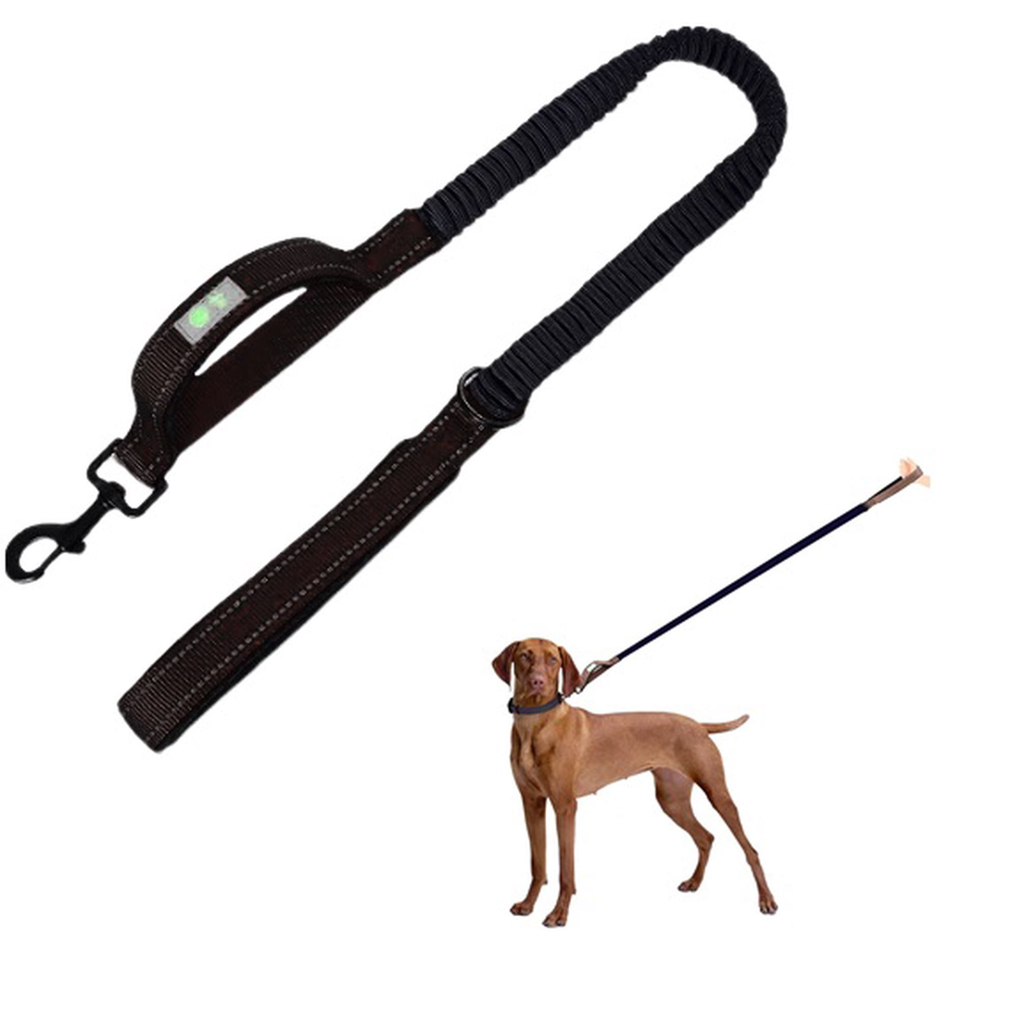 Correa Elástica Para Perros. Negro