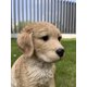 thumbnail image 5 of Cachorro Golden Retriever de 25 cm de Figurine Hi-Line Gift Ltd., 5 of 6