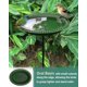 thumbnail image 3 of Bañera para aves Garbuildman 71 cm verde oscuro desmontable, 3 of 7