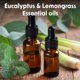 thumbnail image 4 of Toallitas limpiadoras para esterilla de yoga Wipex 25 unidades con aroma a hierba limón y eucalipto, 4 of 9