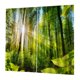 thumbnail image 5 of 2 paneles / set cortinas de cortina de impresión 3d para sala de estar dormitorio sunshine forest, 5 of 5