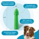 thumbnail image 3 of Juguete dental para masticar con espárragos Outward Hound para perros medianos, 3 of 6