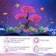 thumbnail image 3 of Árbol de Acuario Ameliade de Cerezo Rosa, 3 of 3