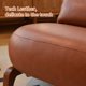 thumbnail image 5 of Silla de acento linda con patas de madera maciza, silla de salón de cuero falso con cojín suave, 5 of 5