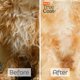 thumbnail image 4 of Champú para perros Hartz True Coat específico para pelo rizado u ondulado, 4 of 7
