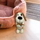thumbnail image 2 of Vibrant Life Tough Buddy Dog with Bone Dog Toy, Chew Level 4, 2 of 3