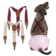 thumbnail image 1 of Dog Suspenders Pet Soft Pañales Keeper para perra hembra, 1 of 7