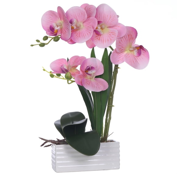 Orquídea FuleHouzz 39 cm Rosa con Jarrón de Cerámica