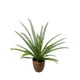 thumbnail image 1 of Helecho Espada 61cm Artificial, 1 of 3