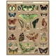 thumbnail image 2 of Puzzle Cavallini & Co. Entomología: 1000 piezas, 2 of 2