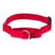 thumbnail image 1 of Collar Martingale PetSafe con hebilla Quick Snap, rojo, 1 of 5