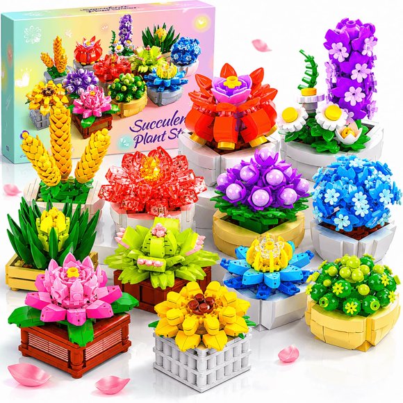 QiqoPoyee Set de construcción de suculentas 12 piezas, kit DIY