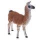 thumbnail image 1 of Figuras de acción de figuras de animales realistas figuritas de juego playset kid toy sheep, 1 of 5