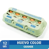 Huevos Grande Color 12 Un 12 Un Lider