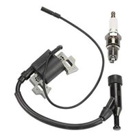 Genérico - Bobina Encendido Para Generador 2Kva 3 5Kva + Bujía