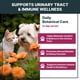 thumbnail image 2 of Tratamiento Natural Para Infecciones Urinarias En Gatos Y Perros, 2 of 7