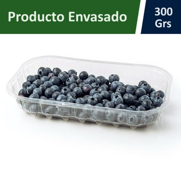 Arándano Pote, 300 g