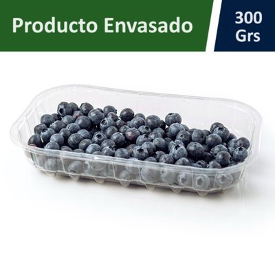 Arándano Pote 300 G