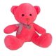thumbnail image 1 of Oso De Peluche Para Niños Niñas Peluche De Oso Colorido fucsia 1, 1 of 2