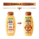 thumbnail image 3 of Shampoo Reparador Garnier Whole Blends Tesoros de Miel, 3 of 3