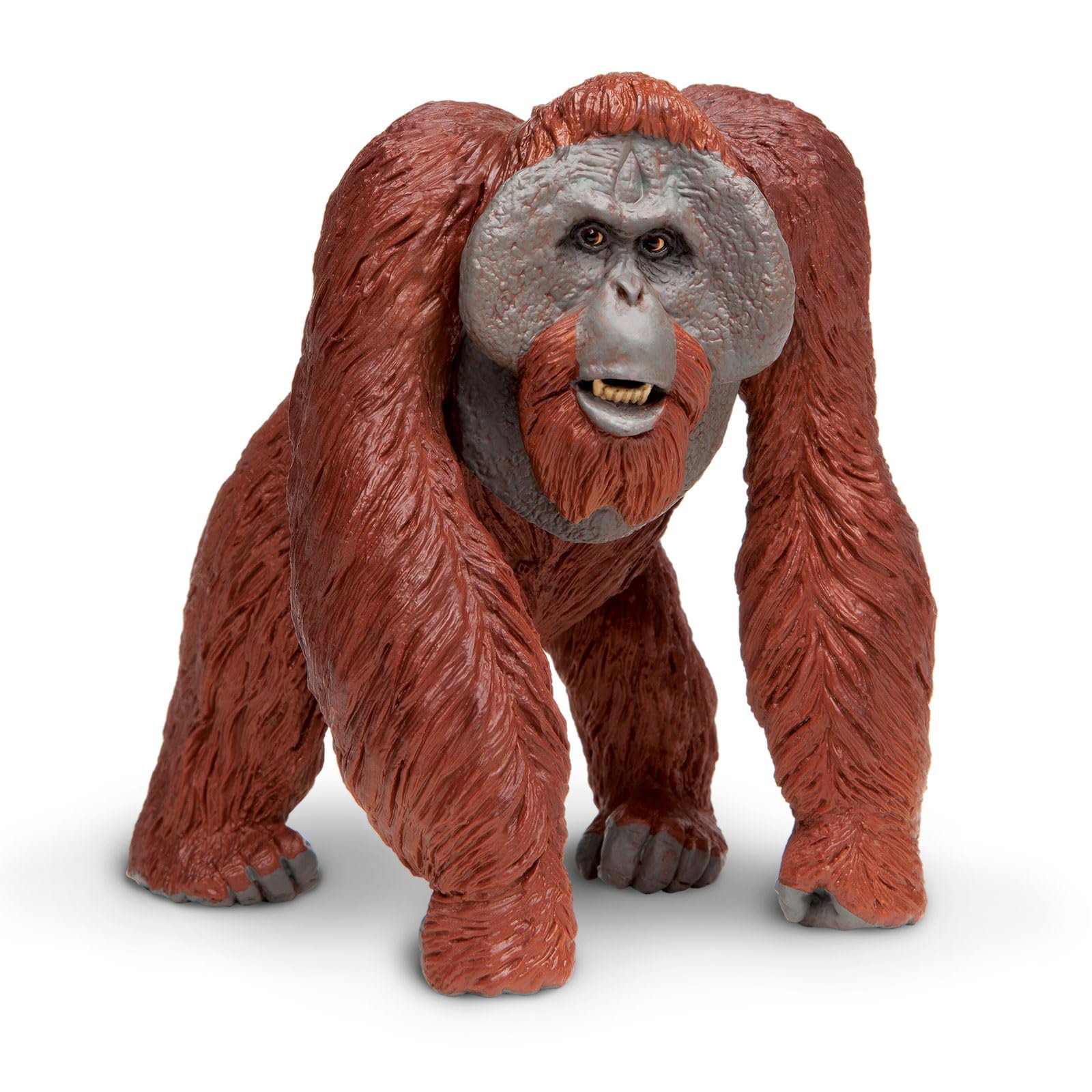 Figura De Juguete Safari Ltd., Orangután De Borneo, 13 Cm, Plástico, Más De 3 Años