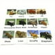 thumbnail image 1 of Montessori Animal Matching Card Cognitive Kids Educational Toy Animal Insect Farm Zoo Preschool Toddler Language Learning Card, 1 of 5