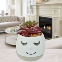 Mallorca - Suculenta Decorativa Maceta Flavia Grey