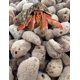 thumbnail image 5 of Esponjas Marinas Awesome Aquatic Paquete de 5 (2‑5 cm) sin Blanquear, 5 of 6