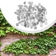 thumbnail image 5 of Anclajes de enrejado: soportes para plantas trepadoras de pared para un crecimiento estable de la vid, 5 of 7