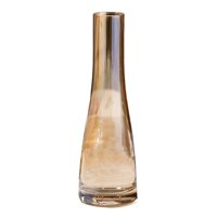 Bothyi - Floreros De Vidrio Decoración Florero De Vidrio De Boca Estrecha Para Bar Regalo De Cumpleaños Salón Ámbar