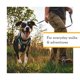 thumbnail image 3 of Arnés de pecho para perro Ruffwear Hi & Light mediano gris basalto, 3 of 9