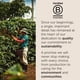 thumbnail image 4 of Café illy Descafeinado en Grano Tostado Medio 250 g, 4 of 7