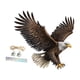 thumbnail image 4 of Adorno De águila, Regalo, Fácil De Colgar, Atractivo Letrero Plano 2D Para Patio, Granja, Estilo A, 4 of 5