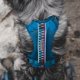 thumbnail image 2 of Arnés para Perro Wilderdog Mediano Azul Pacífico Reflectante, 2 of 7