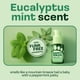 thumbnail image 5 of Spray Desodorante Para Pies Y Calzado Eucalipto Y Menta, 5 of 7
