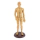 thumbnail image 1 of Acupuntura humana y moxibustión modelo femenino masculino juega 50cm masculino suave, 1 of 3