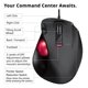 thumbnail image 5 of Ratón Trackball ELECOM EX-G con control de pulgar ergonómico con cable, 5 of 7