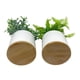 thumbnail image 2 of Planta articial ficus variegado, producto surtido 1 un, 2 of 6