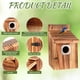 thumbnail image 4 of Juego de casitas para pájaros de exterior JZTKQTM con protectores metálicos y seguros, 4 of 7
