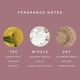 thumbnail image 3 of Bruma perfumada Find Comfort de Rare Beauty 100 ml, 3 of 3